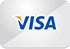 Visa card